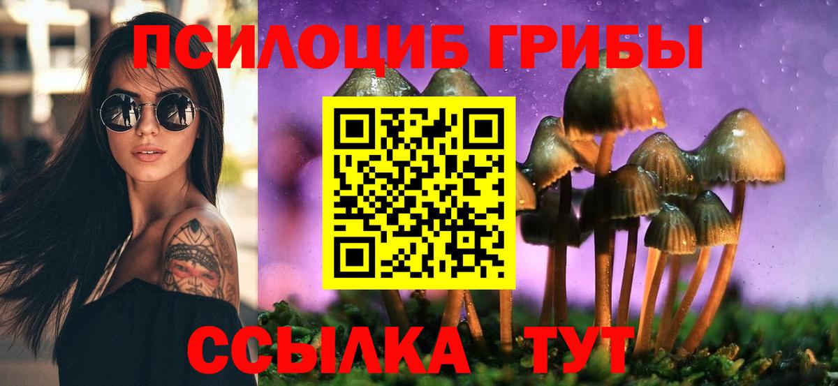 Галлюциногенные грибы Psilocybine cubensis Советск
